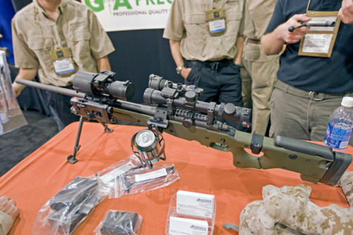 gun_accessories_3a.jpg