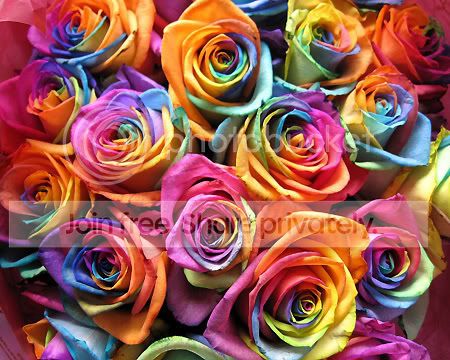 flowers-1.jpg