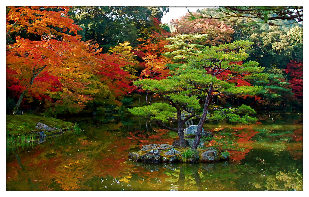 japanese-garden-landscape-design4.jpg