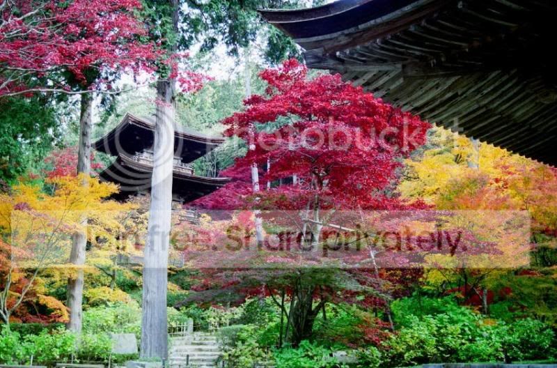 japanese-temple.jpg