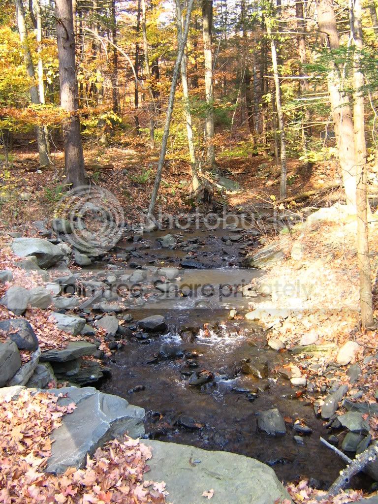 IMG_0894.jpg