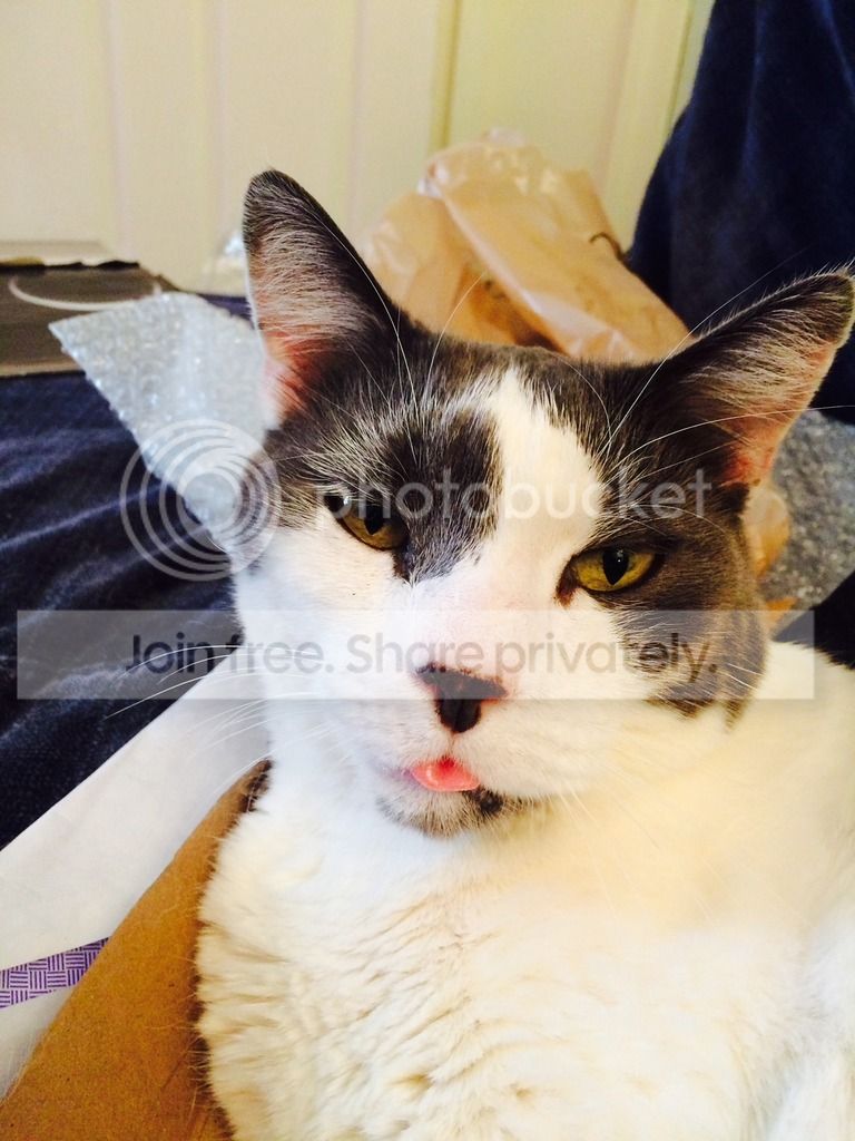 doofytongueredux_zpsrcoq9dvt.jpg