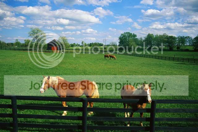 kentucky.jpg