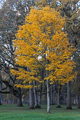 6350041406_8731572b14_m.jpg