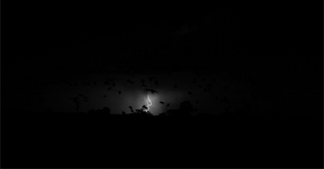 tumblr_lnsltuqkgo1qfn9vko1_500.gif