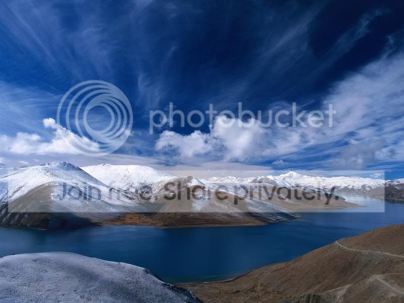 nature_384.jpg