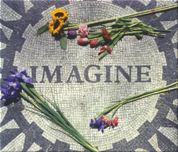 imaginea1.gif