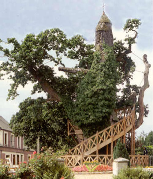 chapel-oak-allouville-bellefosse.jpg