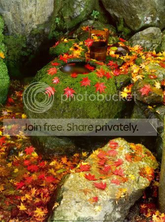 AF606Zen-Garden-Posters.jpg