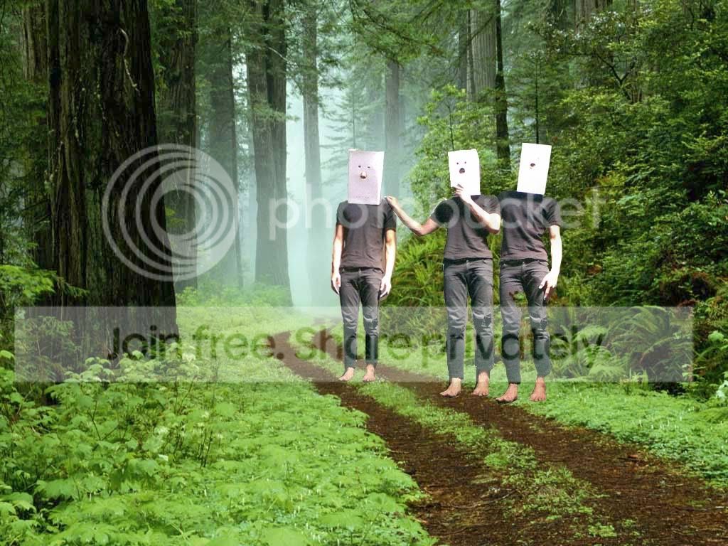 Forest.jpg