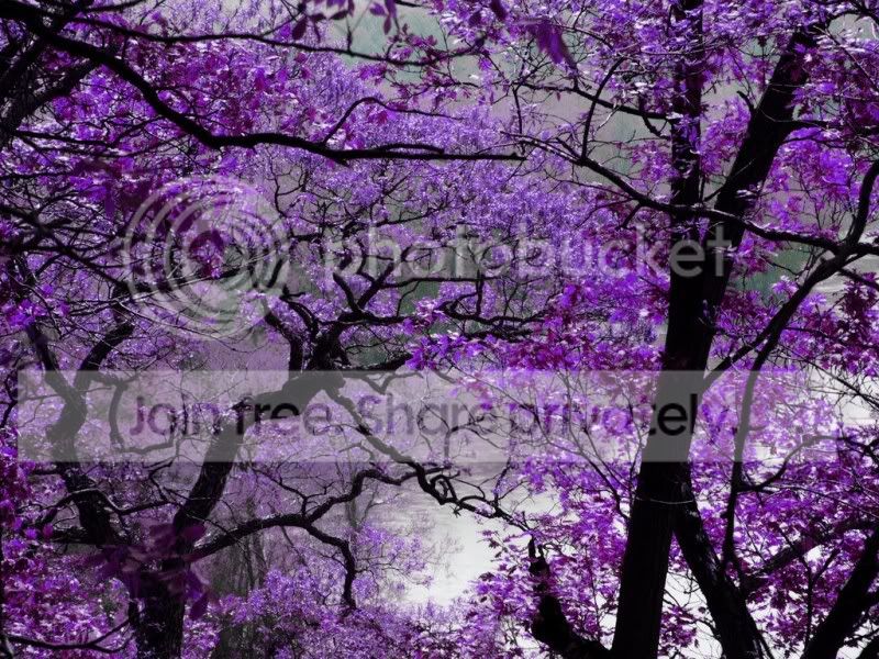 background2.jpg