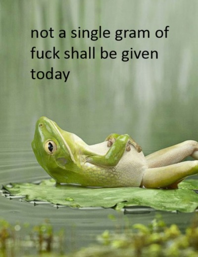 tumblr_l9oapc2I5q1qanb21o1_400.png