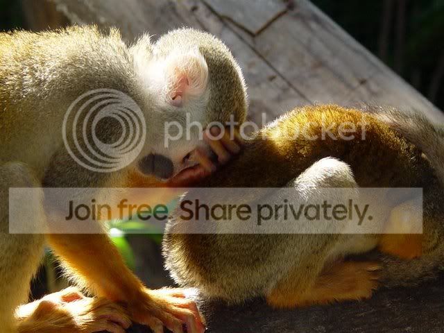 safari-38.jpg