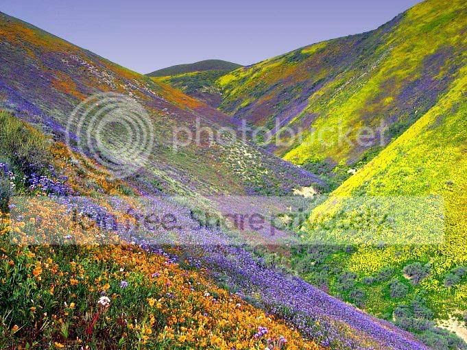Beautifulhillside.jpg