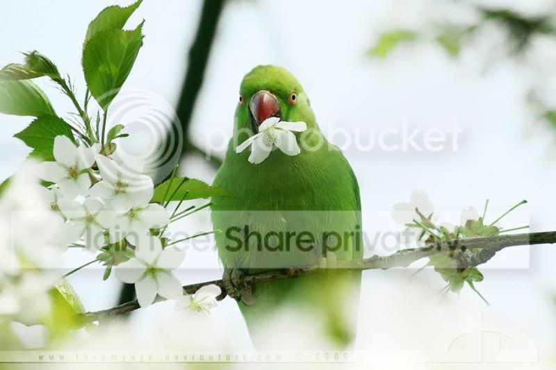 2f9ed6f551f4b5f95a8f958ca5afea60.jpg