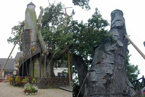 chapel-oak-allouville.jpg