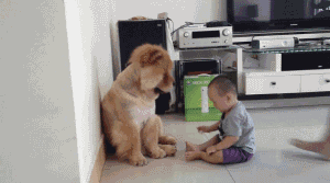 69c732e4jw1dii74rouu9g.gif