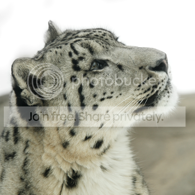 Brand_New_Day_1576P_by_Sooper_Devia.png