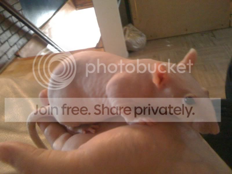 photo-9-1.jpg