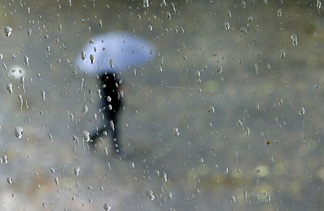 rain460.jpg