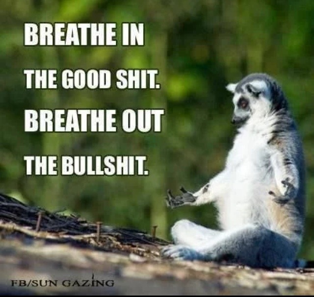 tumblr_na1d1bMmXd1tnvyyso1_1280.jpg