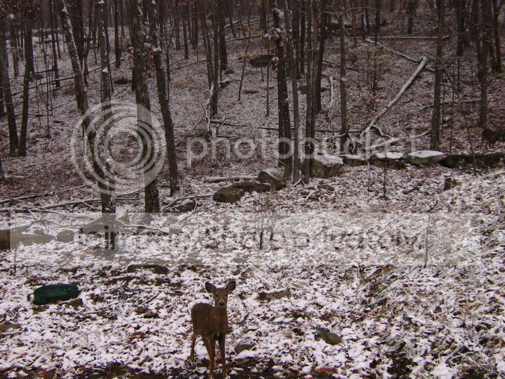IMG_0993.jpg