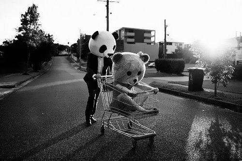 tumblr_lx134vOWKT1r1ihx5o1_500.jpg